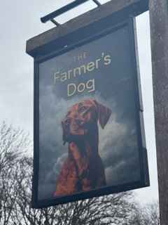 farmersdog copy.jpg