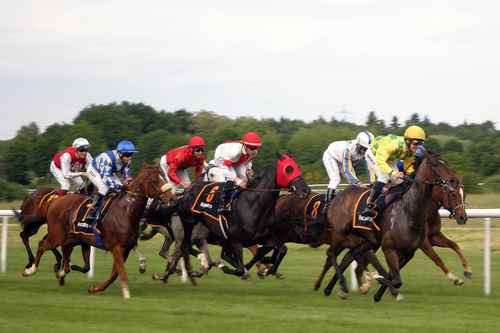 horse-racing-2714850_1280.jpg